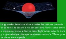 ¿Cuál es la importancia de la gravedad?