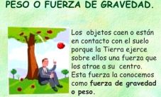 ¿Cómo influye la gravedad en el peso de los cuerpos?